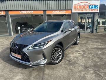 , Privilege line,2021,53.961km,Automaat+Garantie