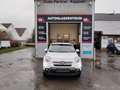 Fiat 500X Turbo City Cross/1.Hnd./AHK/RFK/PDC/SHZG/NAVI Blanco - thumbnail 2