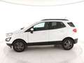 Ford EcoSport 1.5 tdci Titanium s&s 100cv Bianco - thumbnail 2