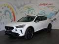 CUPRA Formentor 1,5 TSI ACT Cupra *LED, VIRTUAL COCKPIT, FERNLI... Weiß - thumbnail 20