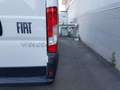 Fiat Ducato Ducato Furgone Lastrato 35q Lh2 140cv 2.2 Multije Bianco - thumbnail 15