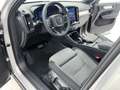 Volvo XC40 XC40 B3 163CV AUT CORE Argento - thumbnail 8