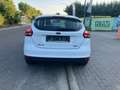 Ford Focus Focus 1.0 Airco - keuring + garantie Blanc - thumbnail 7