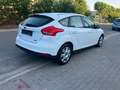 Ford Focus Focus 1.0 Airco - keuring + garantie Blanc - thumbnail 8