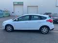 Ford Focus Focus 1.0 Airco - keuring + garantie Blanc - thumbnail 2