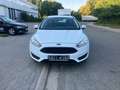 Ford Focus Focus 1.0 Airco - keuring + garantie Blanc - thumbnail 3