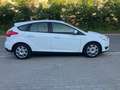 Ford Focus Focus 1.0 Airco - keuring + garantie Blanc - thumbnail 6