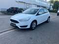 Ford Focus Focus 1.0 Airco - keuring + garantie Blanc - thumbnail 4