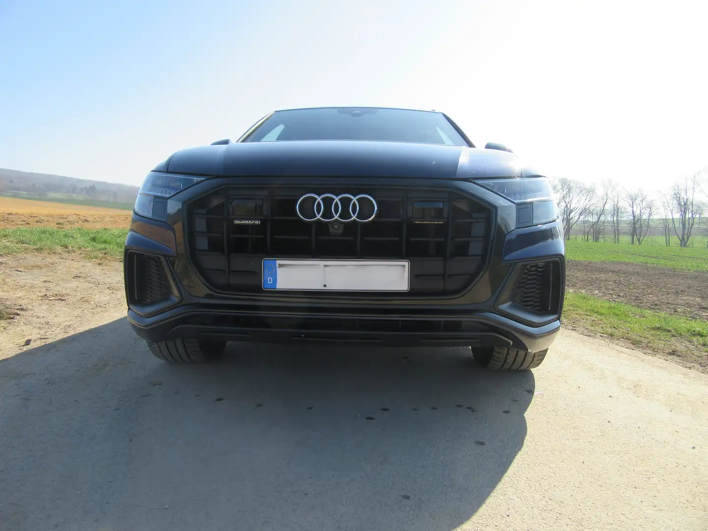 Audi Q8 50 TDI quattro Blau - 2