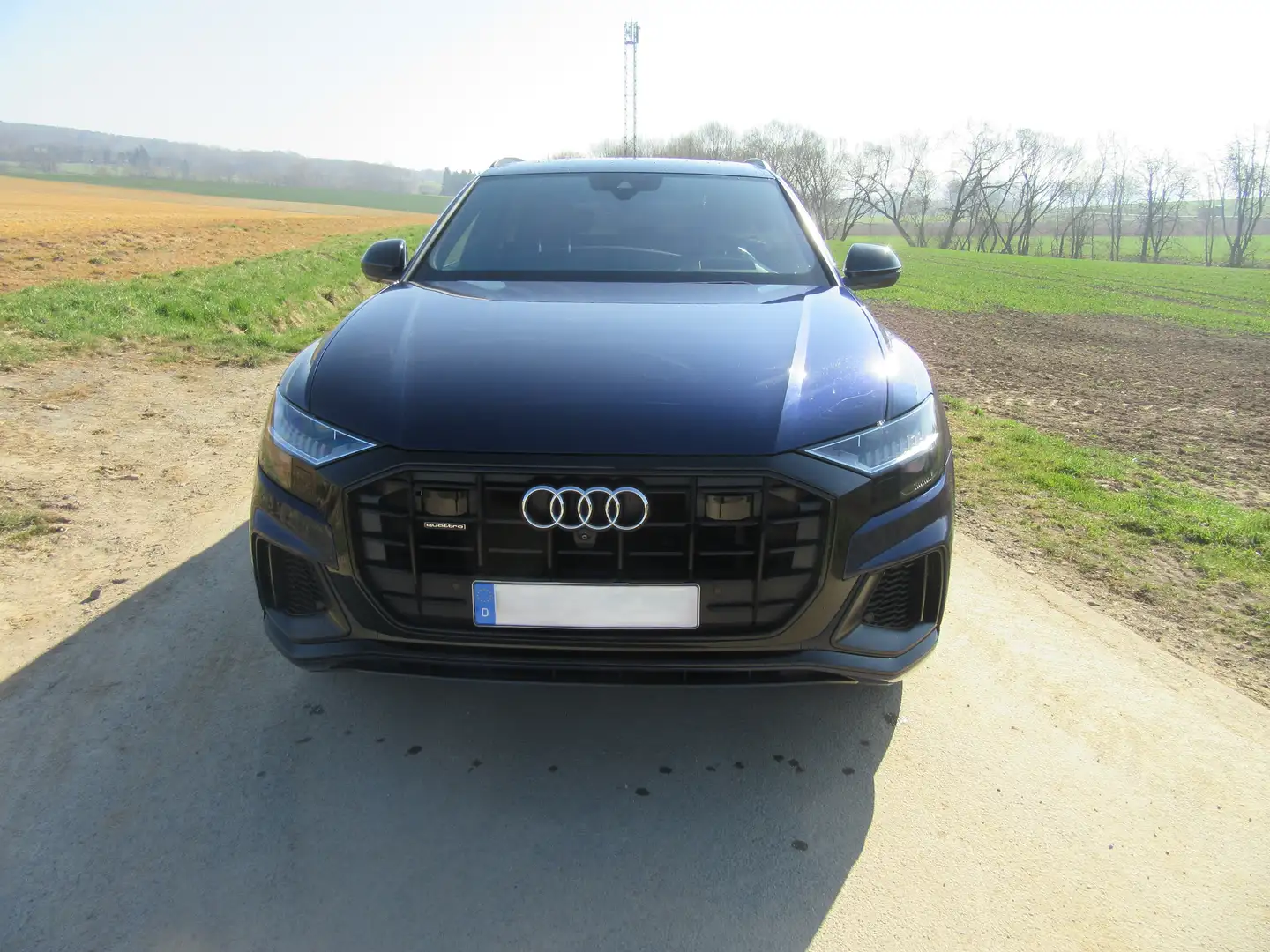 Audi Q8 50 TDI quattro Blau - 1