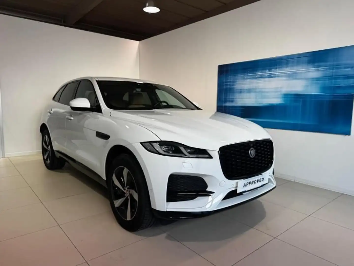 Jaguar F-Pace (X761) 3.0 D 300 CV AWD aut. - 1