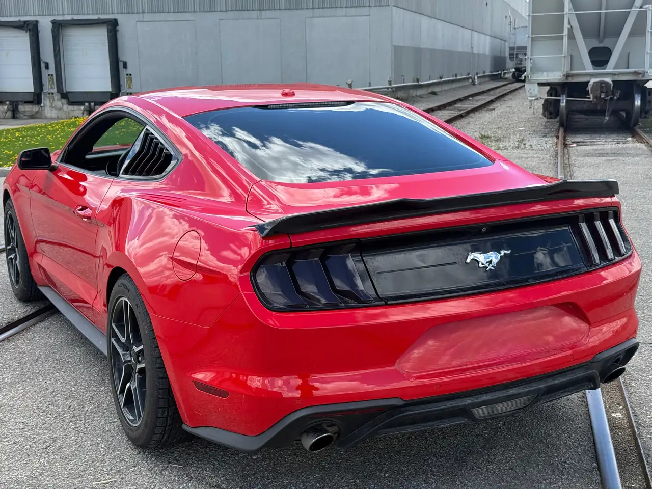 Ford Mustang снимка Ford Mustang