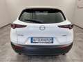 Mazda CX-30 2.0L e-Skyactiv-G 150 CV M Hybrid 2WD Evolve Weiß - thumbnail 3