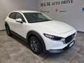 Mazda CX-30 2.0L e-Skyactiv-G 150 CV M Hybrid 2WD Evolve Biały - thumbnail 9
