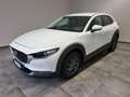 Mazda CX-30 2.0L e-Skyactiv-G 150 CV M Hybrid 2WD Evolve Biały - thumbnail 10