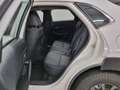 Mazda CX-30 2.0L e-Skyactiv-G 150 CV M Hybrid 2WD Evolve Bianco - thumbnail 10