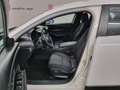 Mazda CX-30 2.0L e-Skyactiv-G 150 CV M Hybrid 2WD Evolve Bianco - thumbnail 8