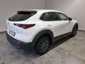 Mazda CX-30 2.0L e-Skyactiv-G 150 CV M Hybrid 2WD Evolve Biały - thumbnail 8