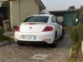 Volkswagen Maggiolino Maggiolino 2011 1.4 tsi Sport 160cv White - thumbnail 7