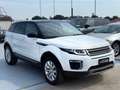 Land Rover Range Rover Evoque Range Rover Evoque 2.0 TD4 150 CV 5p. SE Bianco - thumbnail 1