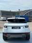 Land Rover Range Rover Evoque Range Rover Evoque 2.0 TD4 150 CV 5p. SE Bianco - thumbnail 6