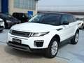 Land Rover Range Rover Evoque Range Rover Evoque 2.0 TD4 150 CV 5p. SE Bianco - thumbnail 3