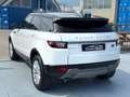 Land Rover Range Rover Evoque Range Rover Evoque 2.0 TD4 150 CV 5p. SE Bianco - thumbnail 2