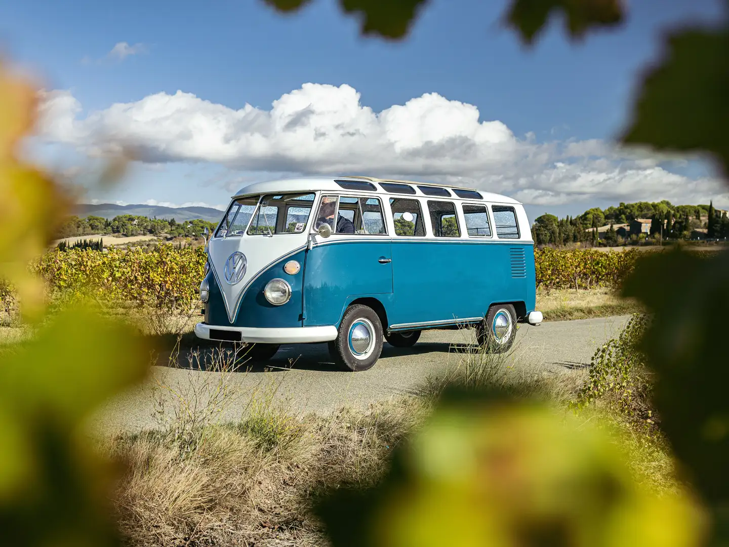 Volkswagen T1 21 fenêtres Mavi - 1