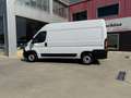 Fiat Ducato L2 H2 Blanco - thumbnail 4