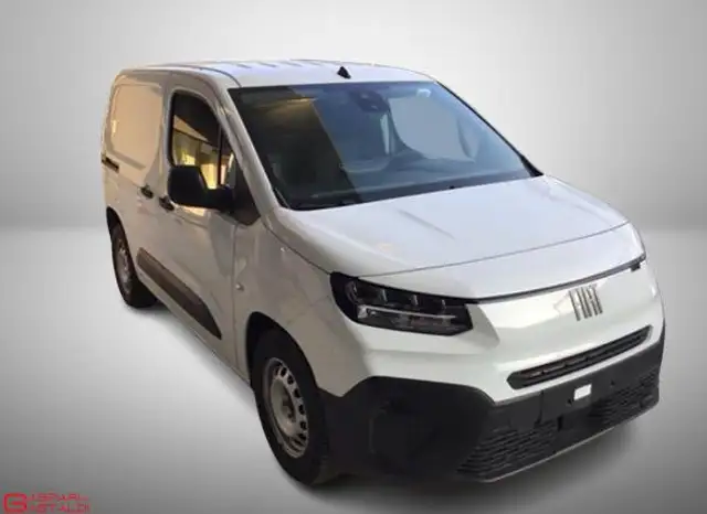 Fiat Doblo Doblò 1.5 BlueHdi 100CV PC-TN Van 2 POSTI