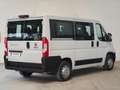 Fiat Ducato Ducato Panorama 30 CH1 2.3 mjt 150cv 6 9 Posti Blanco - thumbnail 7