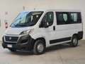 Fiat Ducato Ducato Panorama 30 CH1 2.3 mjt 150cv 6 9 Posti Blanco - thumbnail 3