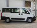 Fiat Ducato Ducato Panorama 30 CH1 2.3 mjt 150cv 6 9 Posti Blanco - thumbnail 8