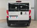 Fiat Ducato Ducato Panorama 30 CH1 2.3 mjt 150cv 6 9 Posti Blanco - thumbnail 6