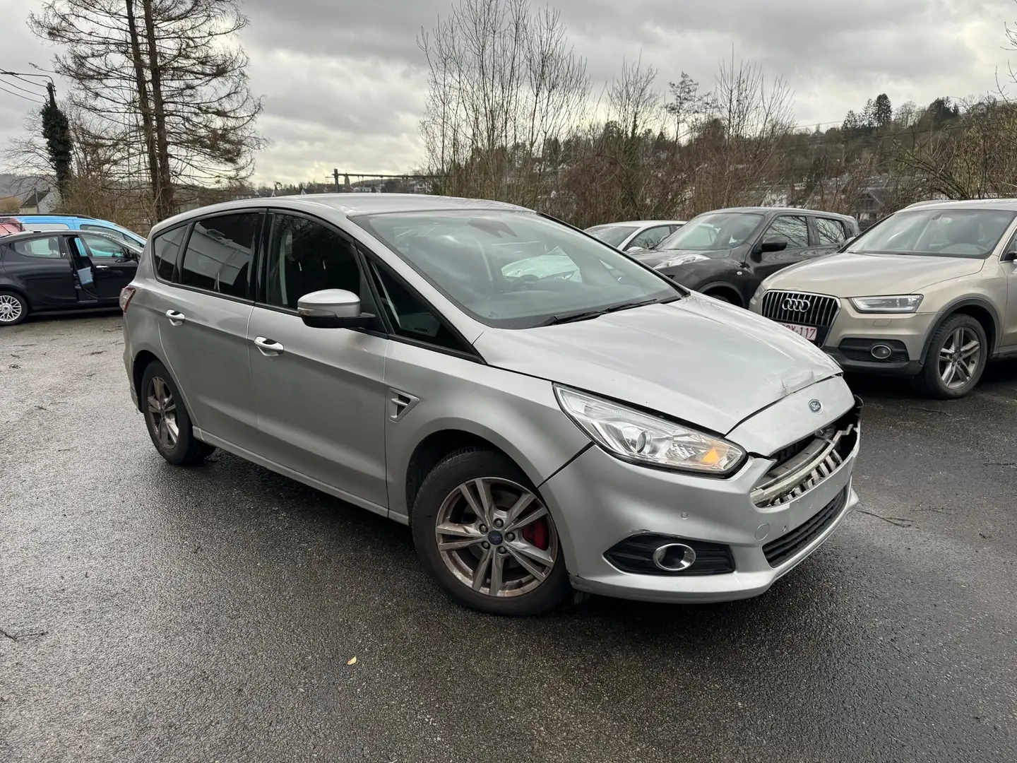 Ford S-Max 2.0 TDCi Business Edition Gris - 2