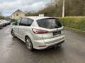Ford S-Max 2.0 TDCi Business Edition Gris - thumbnail 4