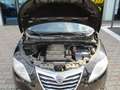 Lancia Ypsilon 1.2 8v Platinum s Schwarz - thumbnail 19