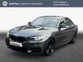 BMW M2 xDrive Coupe Aut. Grau - thumbnail 1