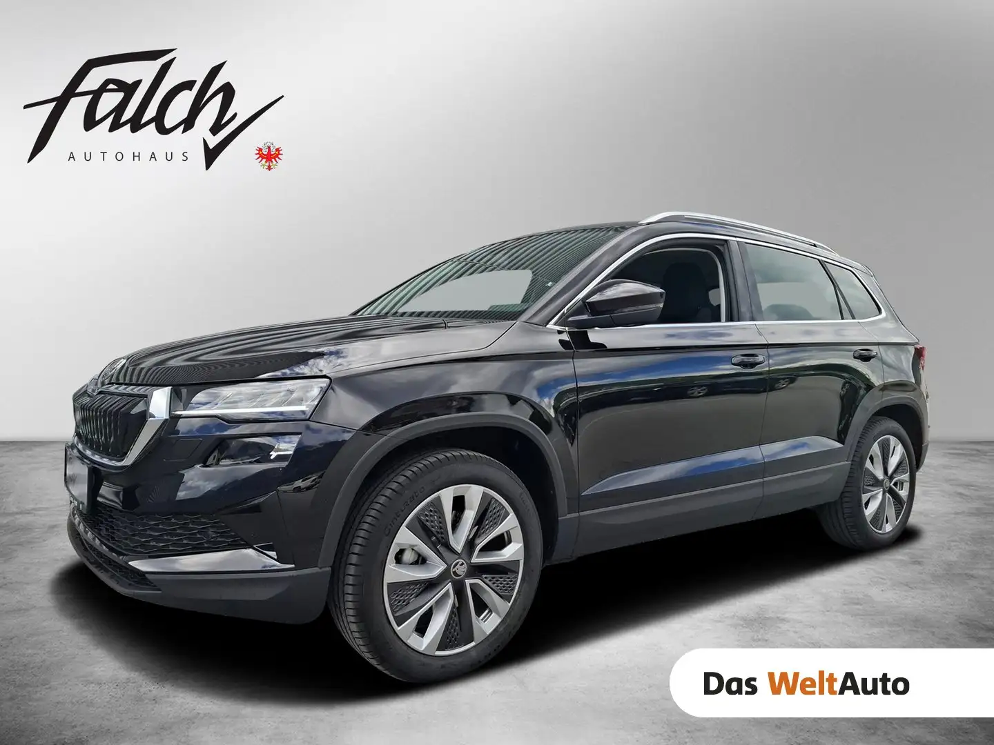 Skoda Karoq 4x4 Selection TDI DSG Schwarz - 1
