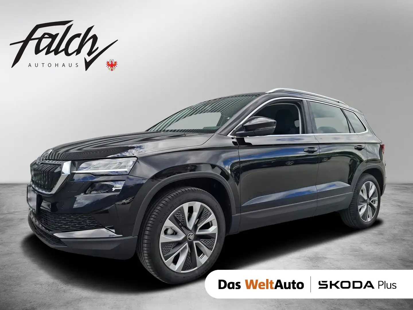 Skoda Karoq 4x4 Selection TDI DSG Schwarz - 1