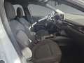 Ford Focus 1.0 EcoBoost ST-Line NAVI, KAMERA, GJR, SHZ Weiß - thumbnail 16