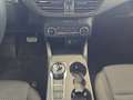 Ford Focus 1.0 EcoBoost ST-Line NAVI, KAMERA, GJR, SHZ Weiß - thumbnail 12