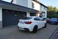 BMW X6 M M50 d LEDER+NAVI+KAMERA+Head-Up+AHK+St-Hzg+ALU-20z Weiß - thumbnail 17