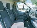 Ford Transit FT 310 L2 Van Trend 125 Blanco - thumbnail 13