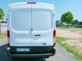 Ford Transit FT 310 L2 Van Trend 125 Blanco - thumbnail 7