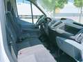Ford Transit FT 310 L2 Van Trend 125 Blanco - thumbnail 10