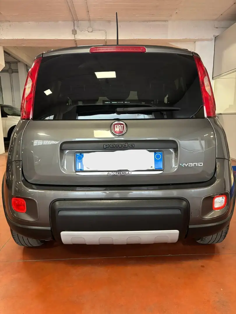 Fiat Panda Panda III 2021 1.0 firefly hybrid City Life s Grigio - 2