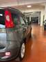 Fiat Panda Panda III 2021 1.0 firefly hybrid City Life s Grigio - thumbnail 6