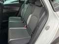 SEAT Leon ST X-Perience 1,6 TDI CR 4Drive Weiß - thumbnail 18