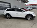 SEAT Leon ST X-Perience 1,6 TDI CR 4Drive Weiß - thumbnail 7